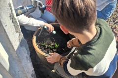 YES-LANGUAGE-CENTRE-CURSURI-ENGLEZA-COPII-CRAIOVA-ACTIVITATI-CURTE-4-BOTANICA