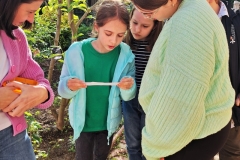 YES-LANGUAGE-CENTRE-CURSURI-ENGLEZA-COPII-CRAIOVA-ACTIVITATI-CURTE-1-JOCURI-2