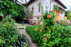 YES-LANGUAGE-CENTRE-ENGLEZA-CRAIOVA-PANORAMA-4